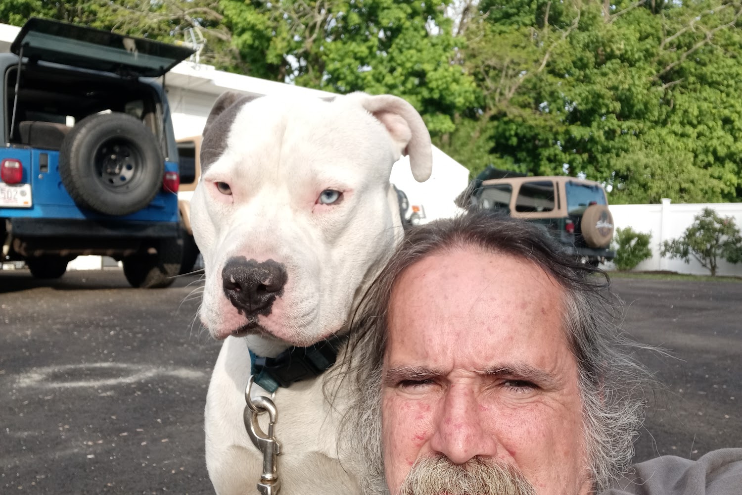 Mansfield Animal Shelter