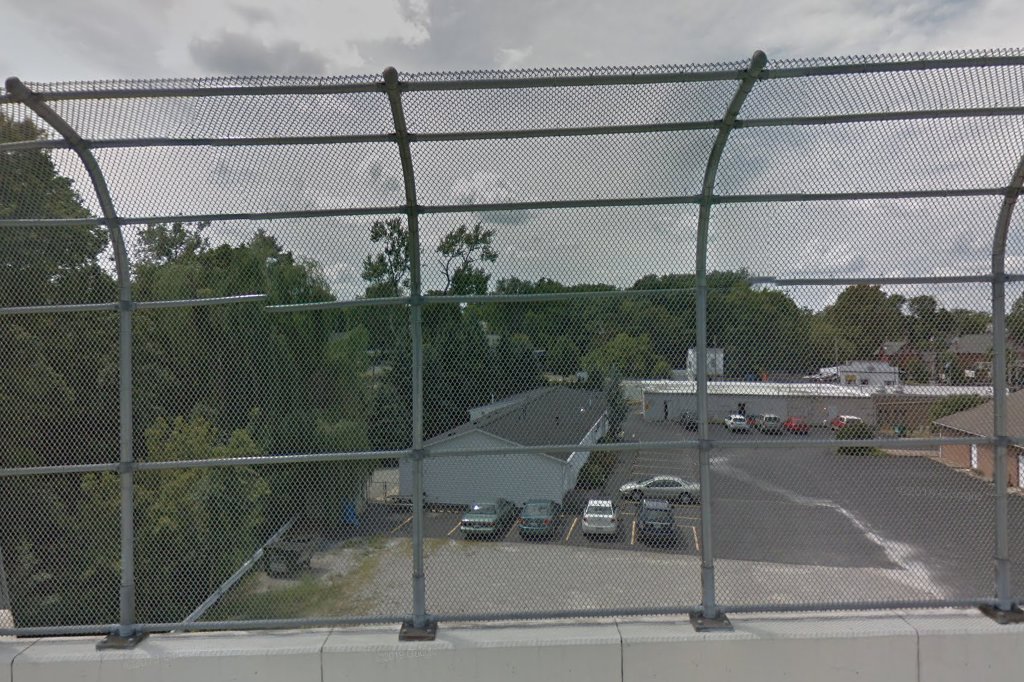 Mapleview Animal Hospital