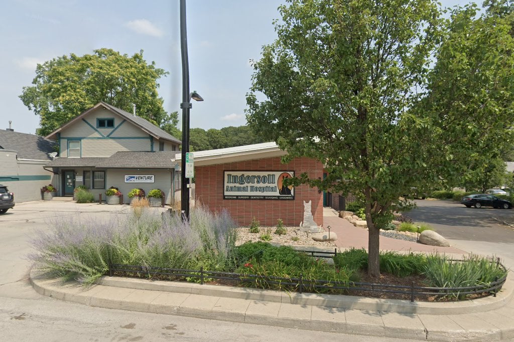 Ingersoll Animal Hospital