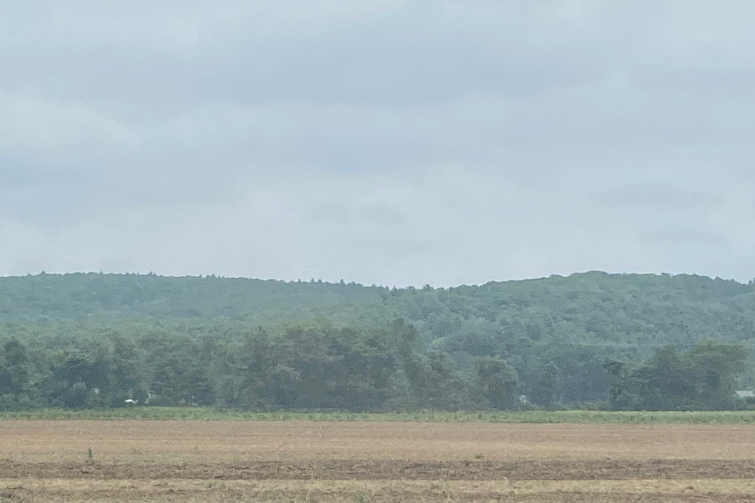 Paws of Granby Ma, Inc.