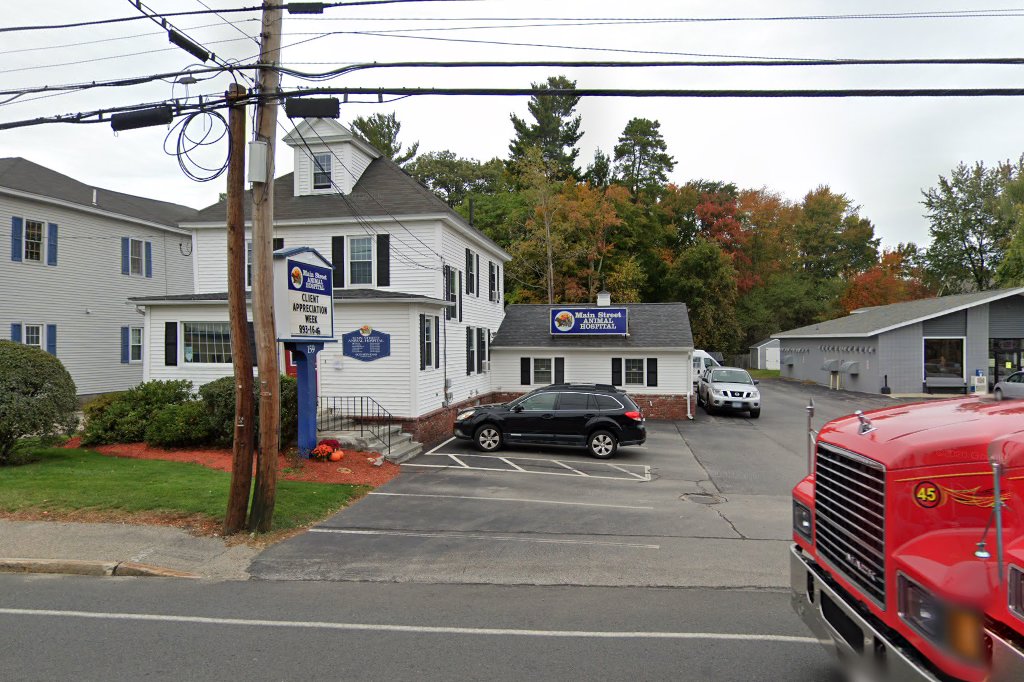 Main Street Animal Hospital