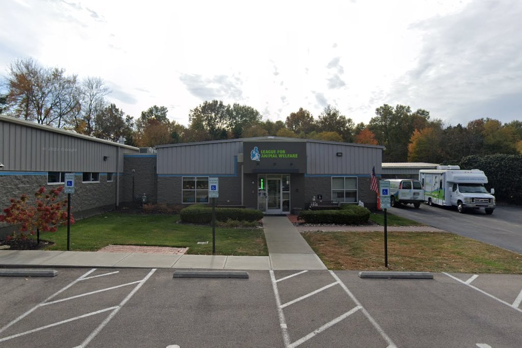 League For Animal Welfare