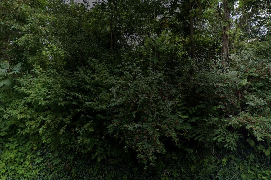 Purr-Fect Place Animal Hospital