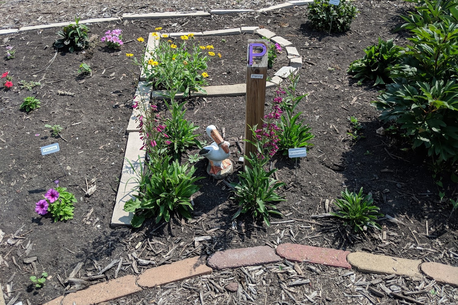 Homeward Animal Shelter