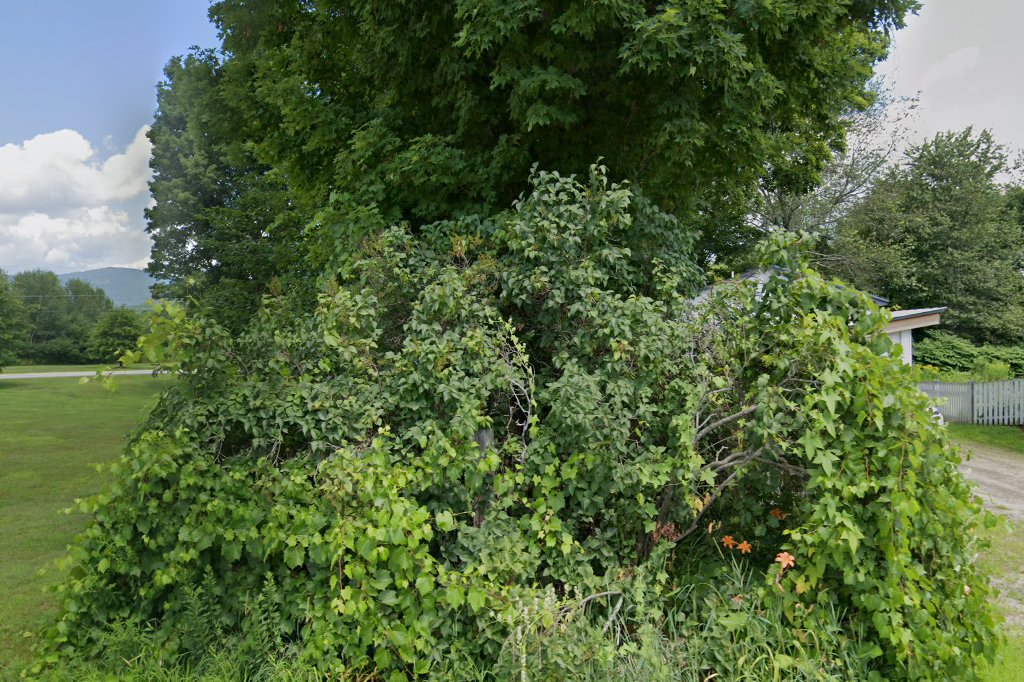 Plymouth Animal Hospital