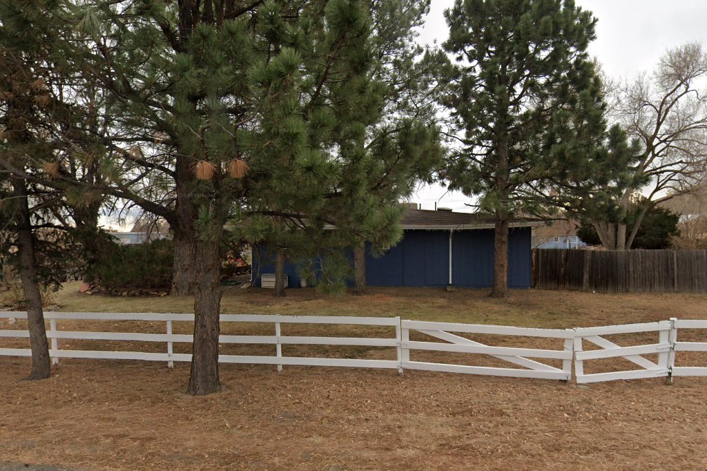 Golden Retriever Rescue of the Rockies