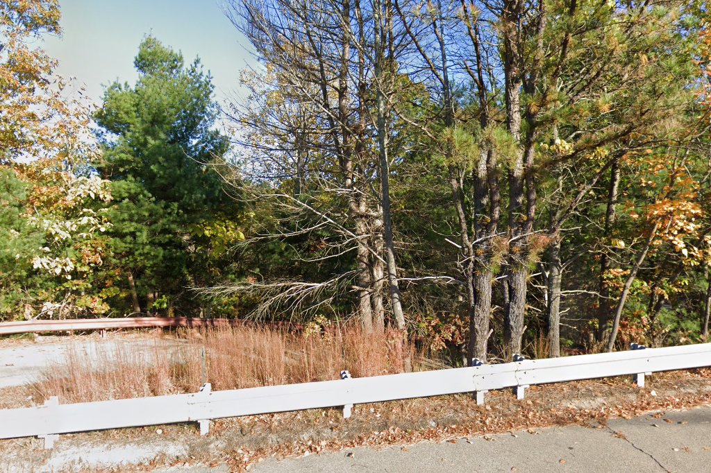 Boxer Buddies Rescue, Inc.