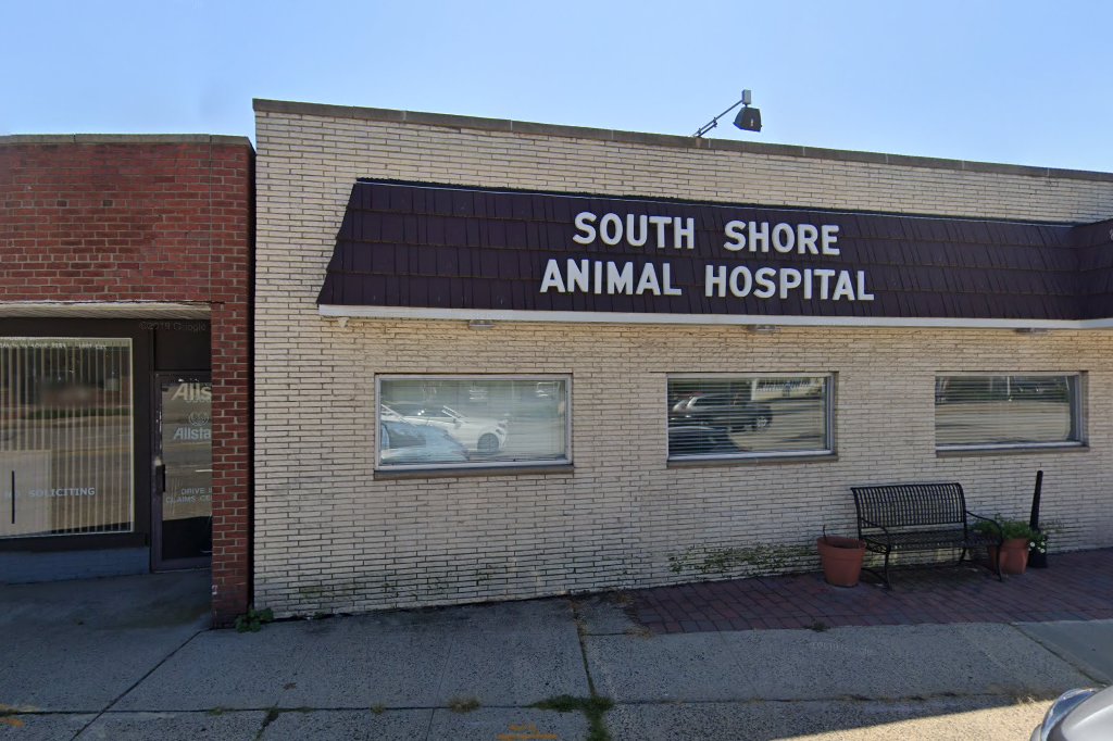 South Shore Animal Hospital
