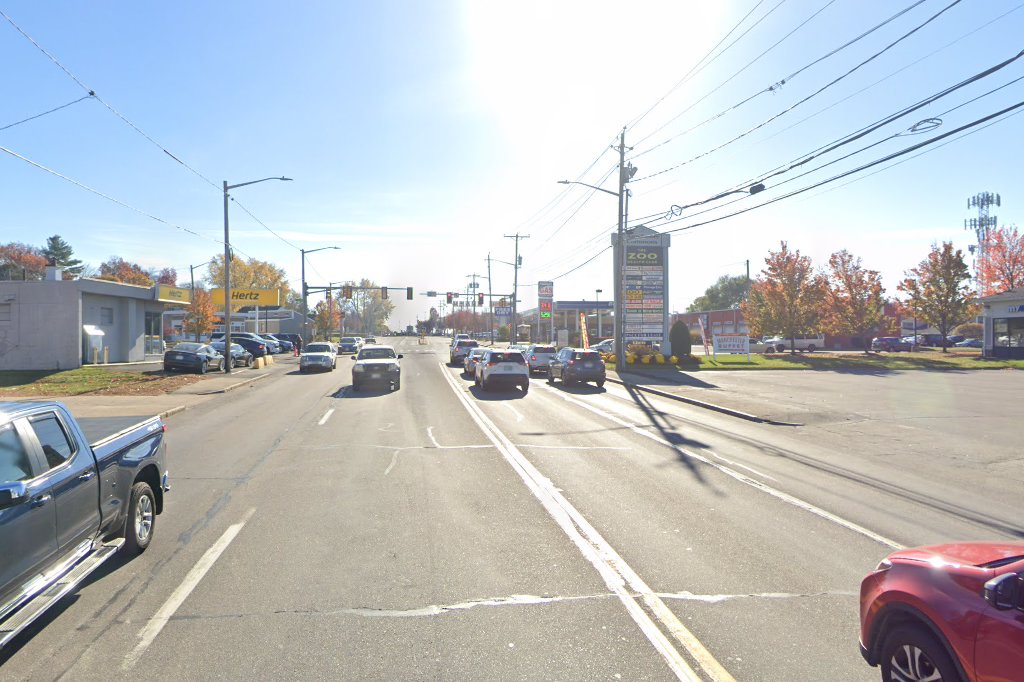 South Willow Animal Hospital