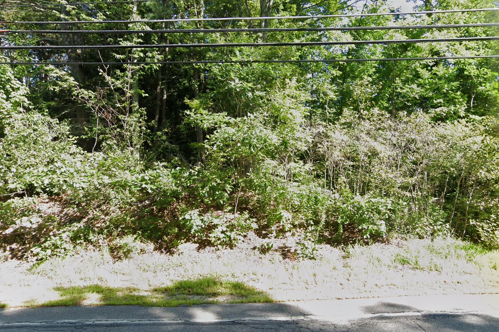 Tower Hill Animal Hospital