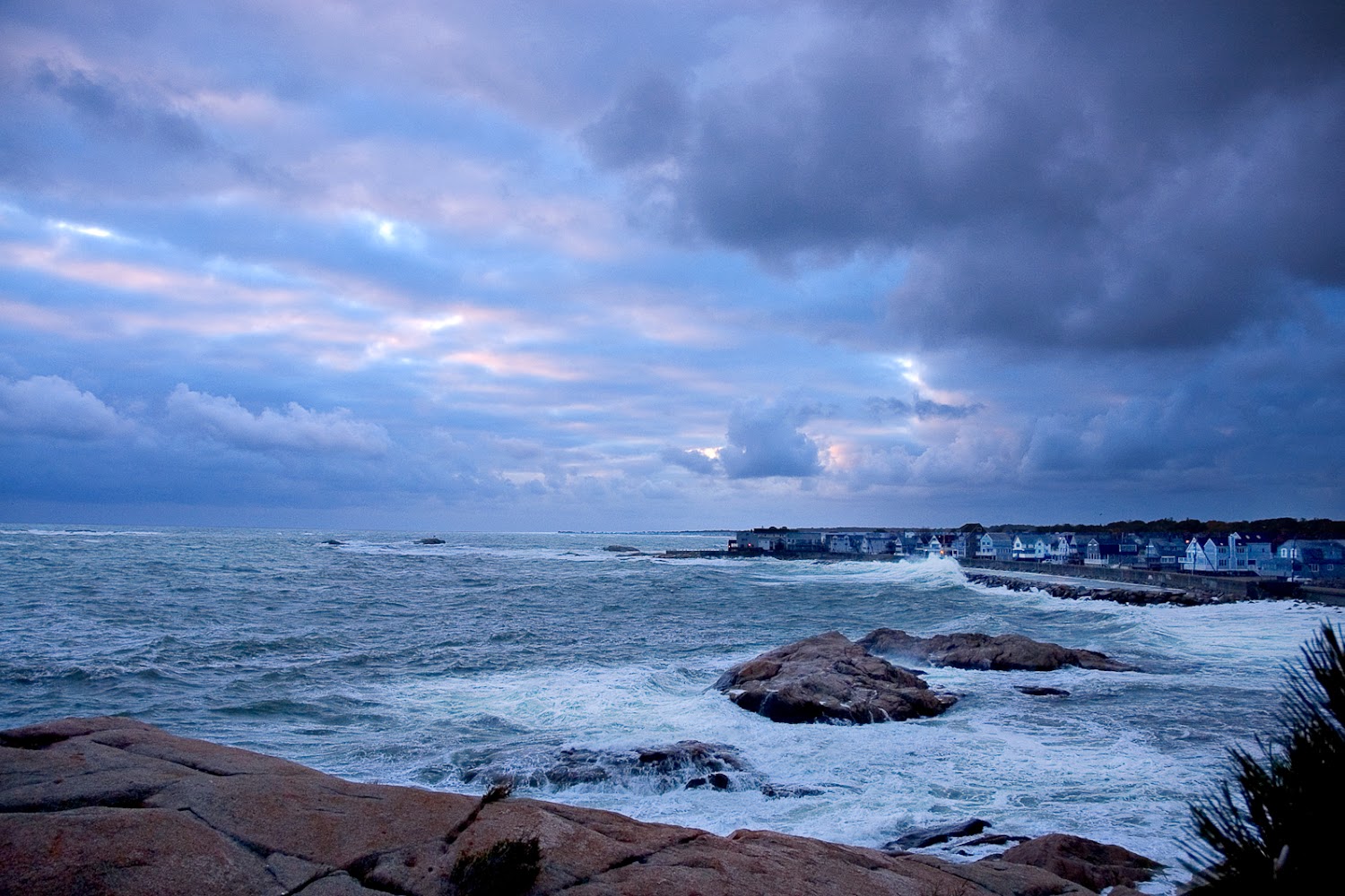 Cavy Rescue New England
