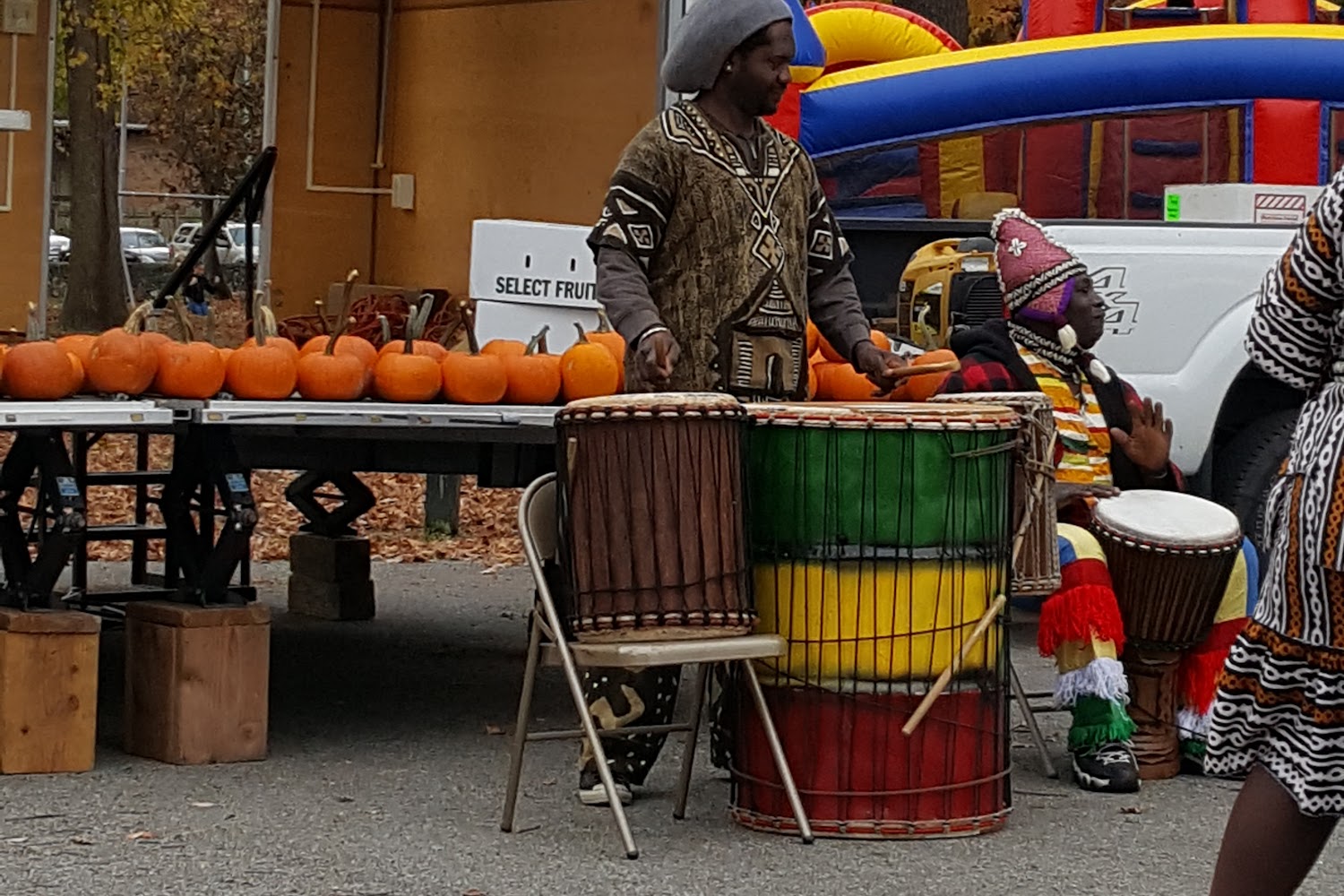 Poughkeepsie Animal Control