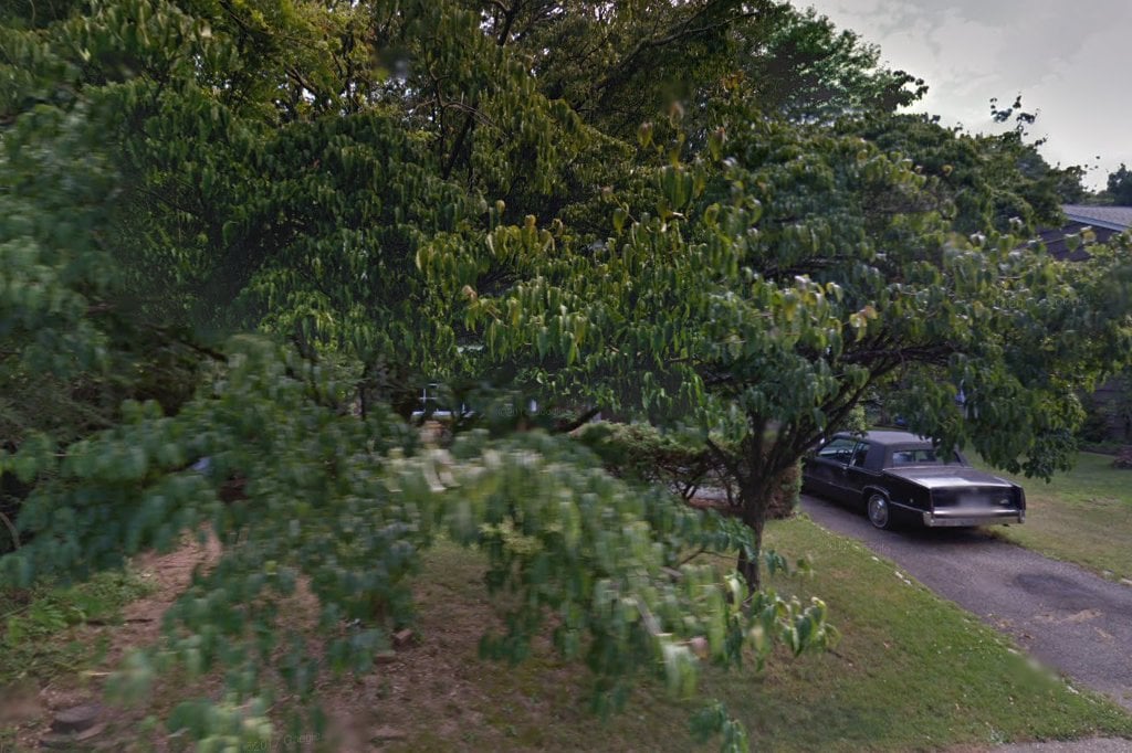 Last Hope Animal Rescue