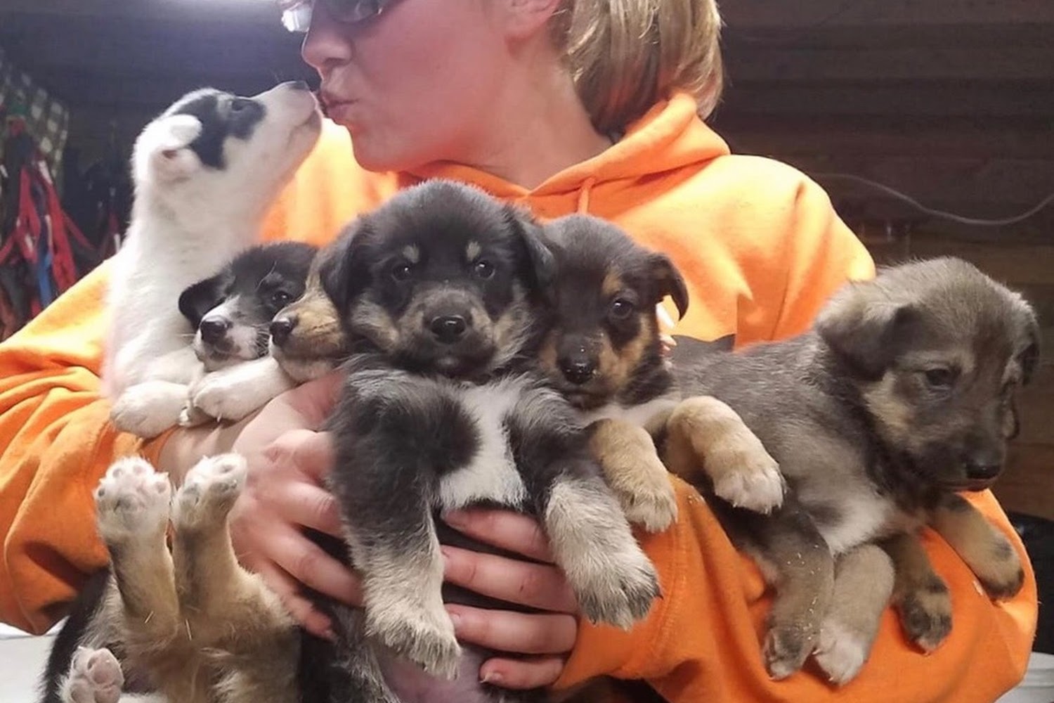 Conway Area Humane Society