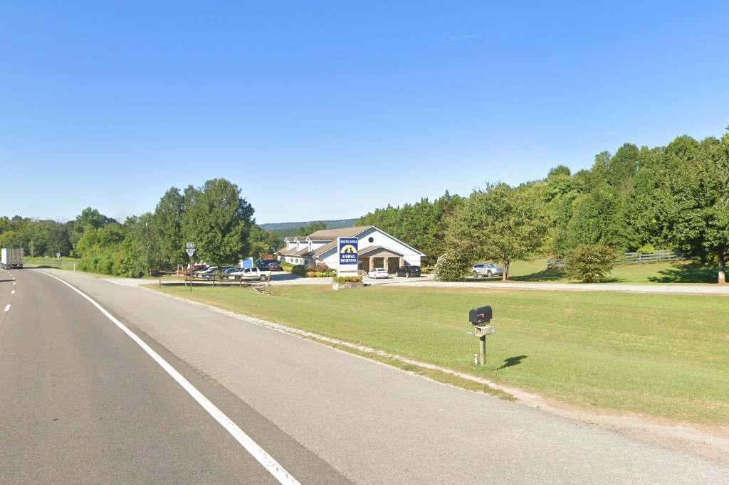 South Rhea Animal Hospital