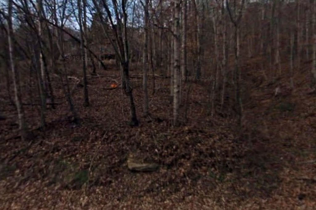 Dog and Other Animals Welfare Group