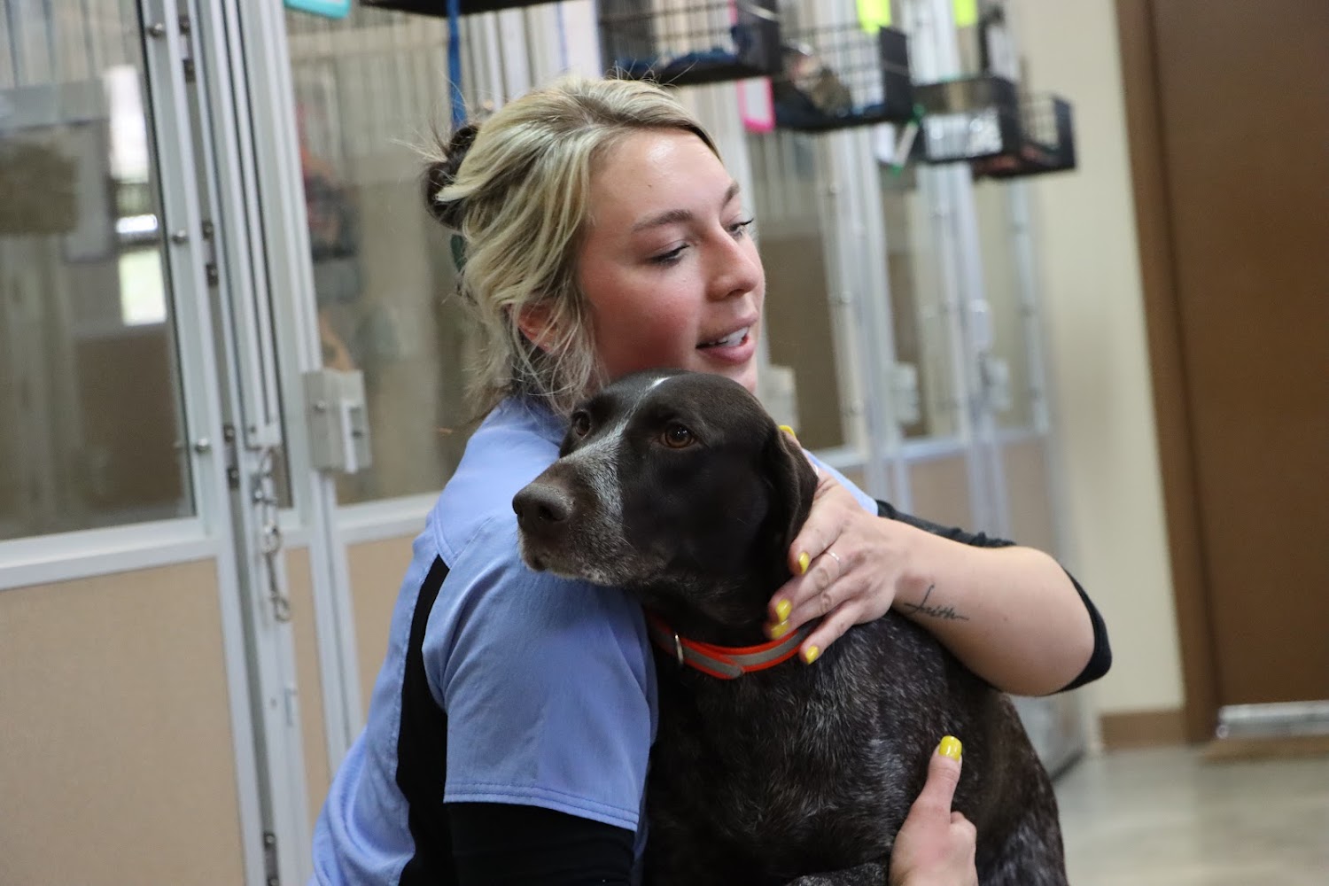 Grizzly Peak Animal Hospital