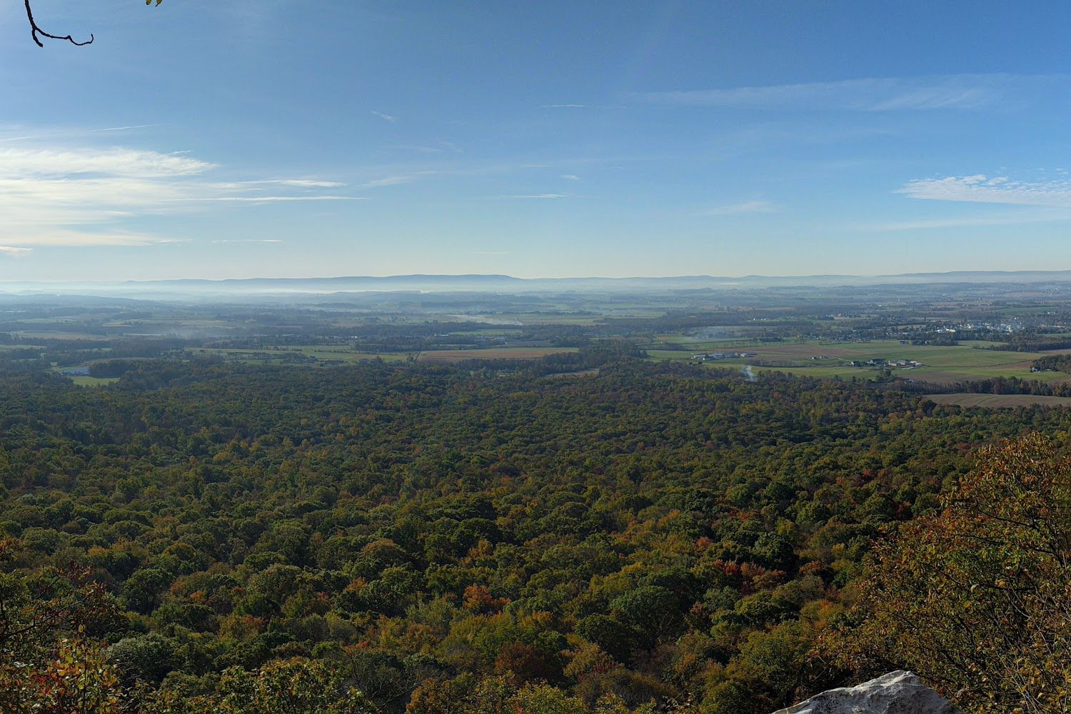 Double D Equine Rescue