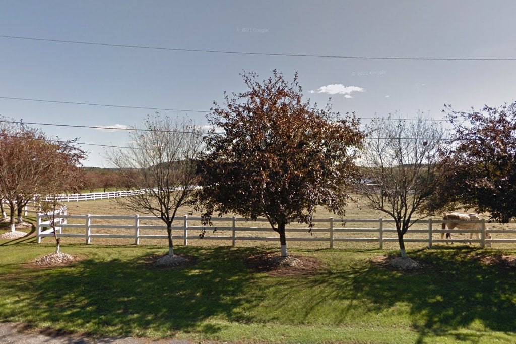 Forgotten Felines & Fidos Inc