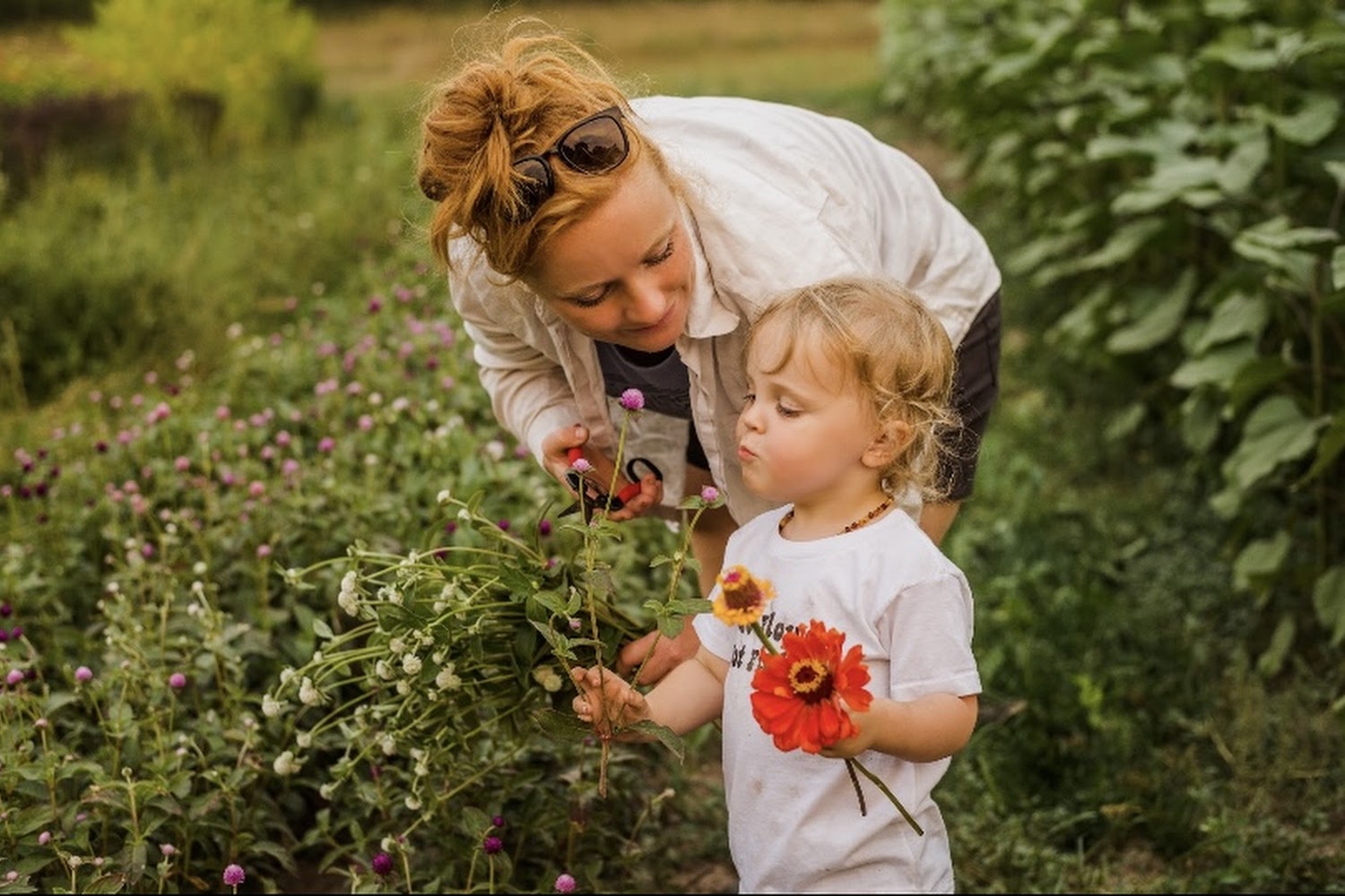 Angels Among Us Equine Rescue & Sanctuary, Inc.