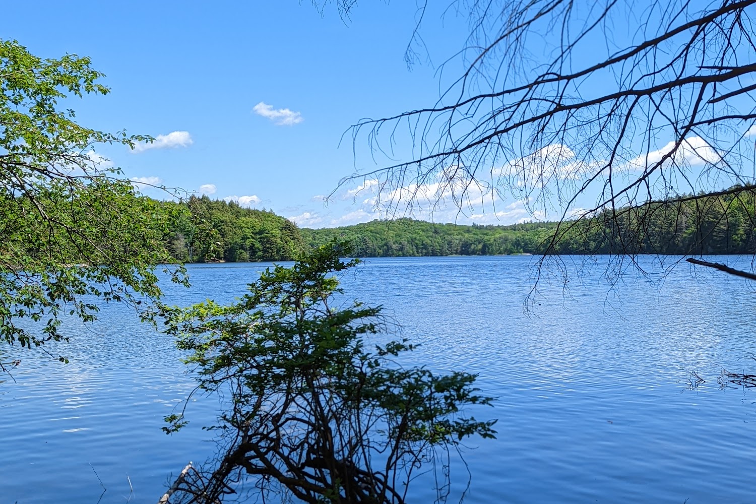 Berkshire Bird Paradise