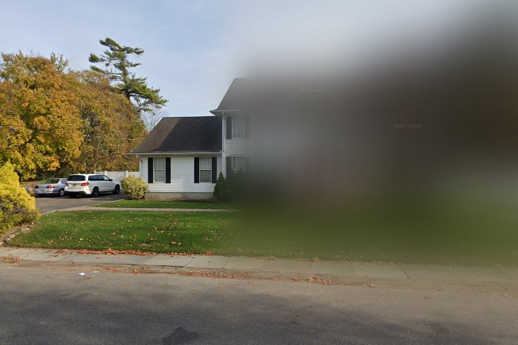 Animals Require Kindness