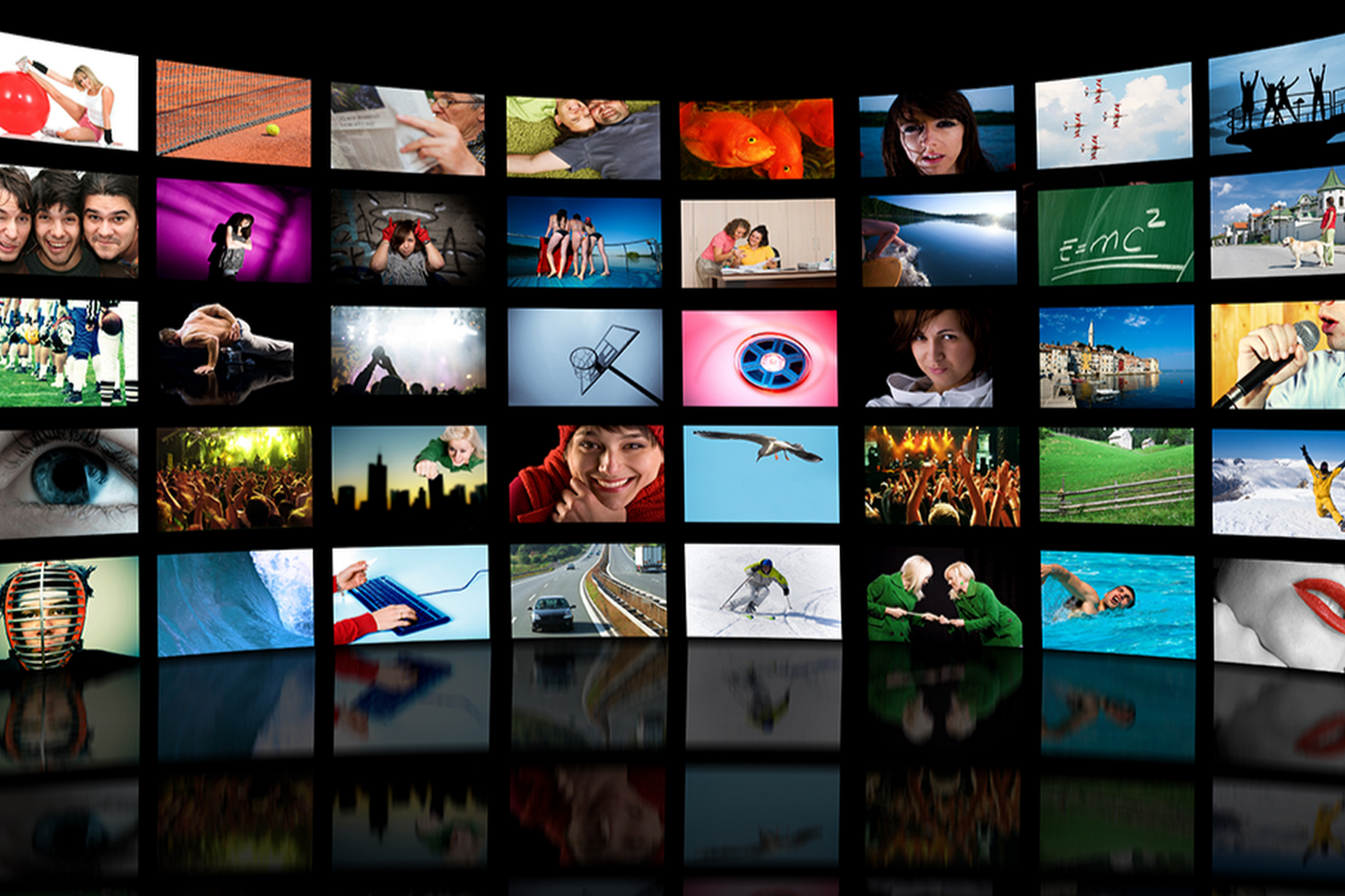 Second Chance Fund for Animal Welfare, Inc.