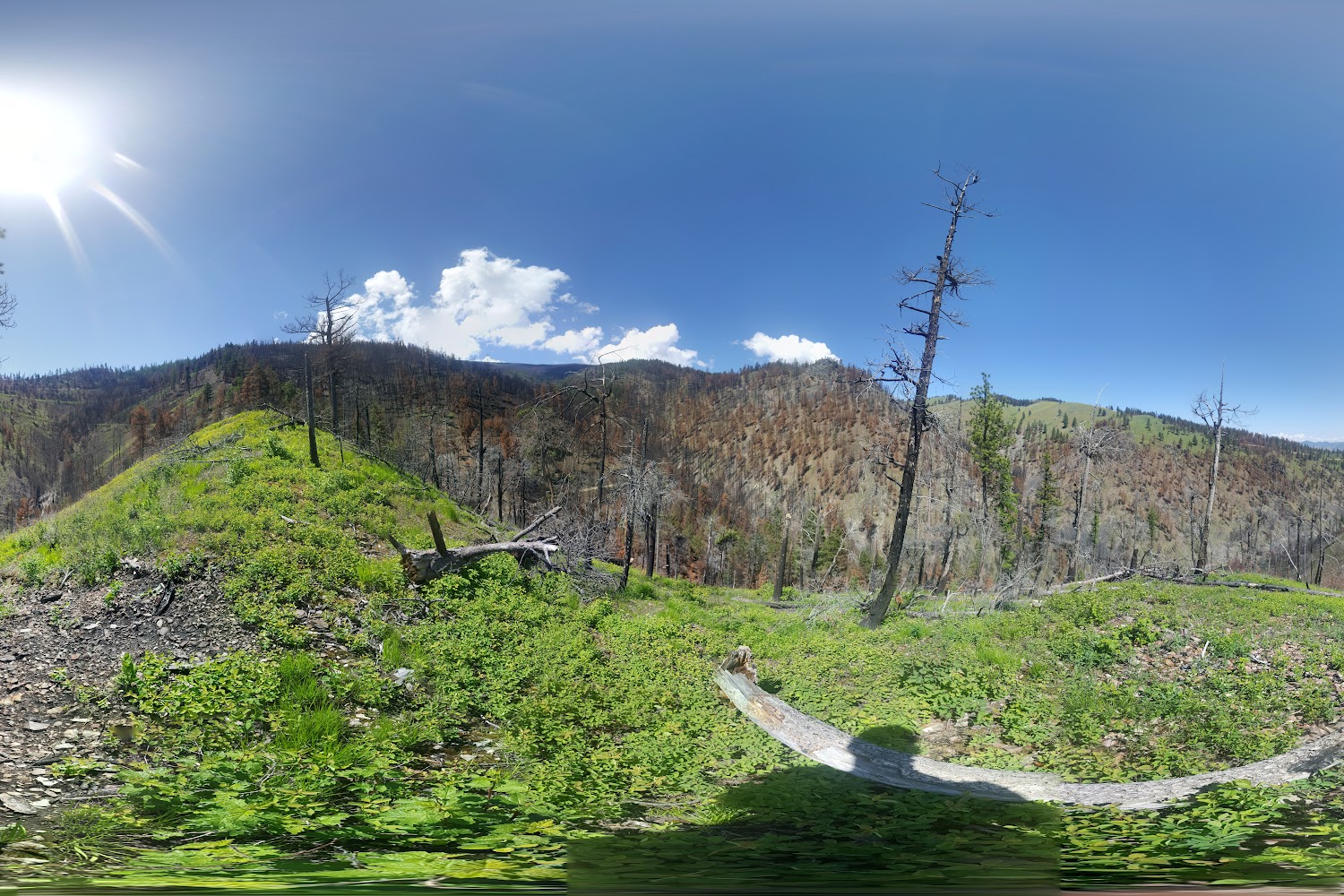 Horizon Veterinary Clinic