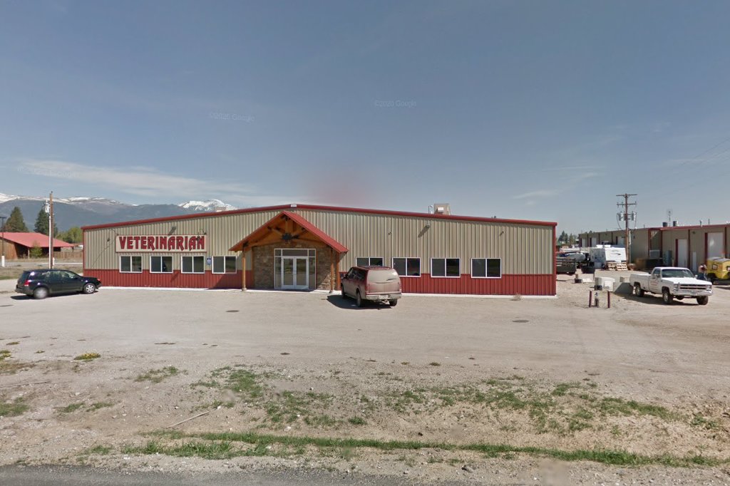 Noah's Ark Veterinary Hospital