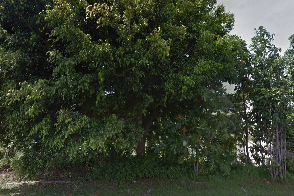 Oreos Aloha Farm Sanctuary