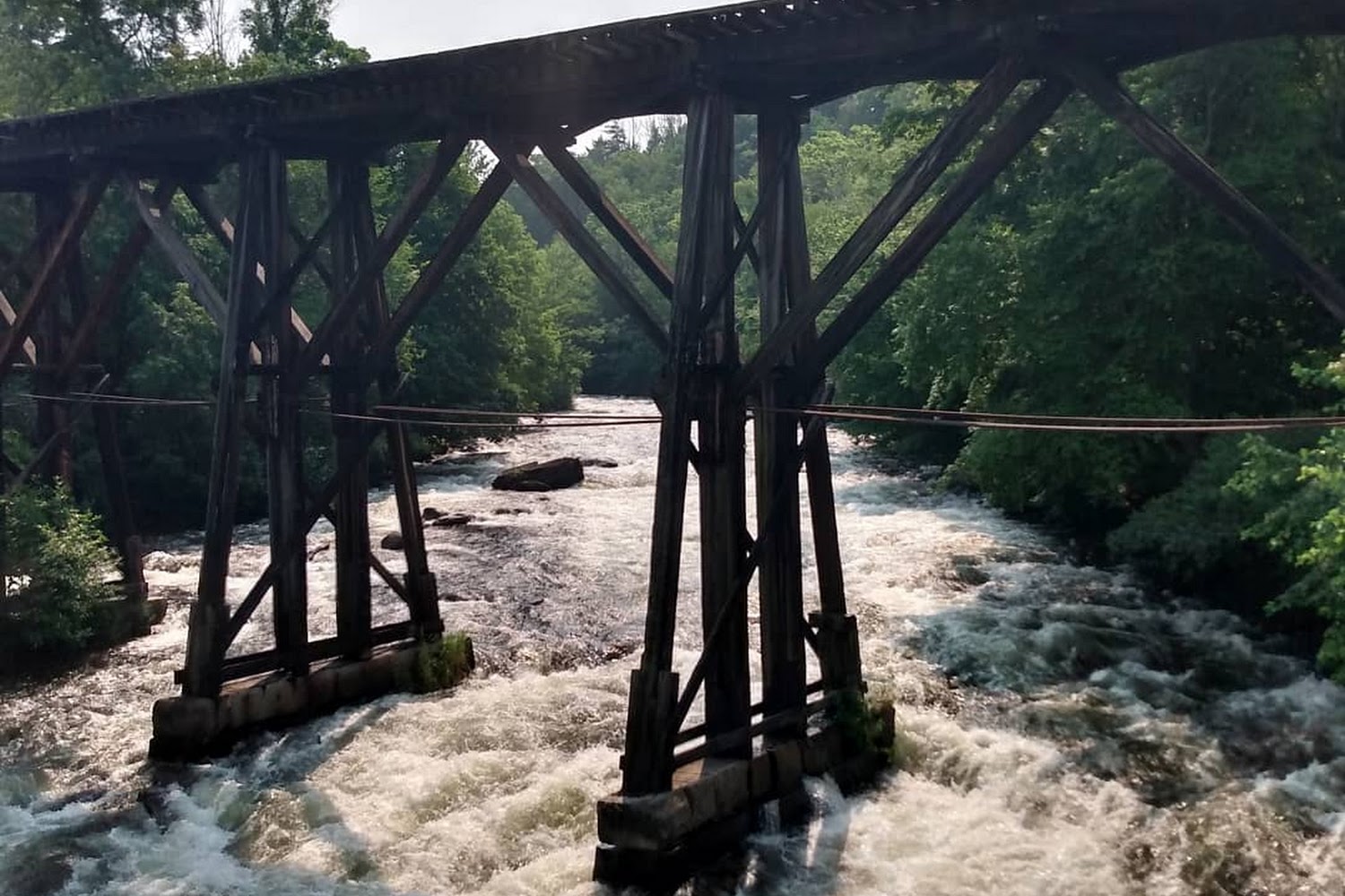 Franklin Animal Shelter