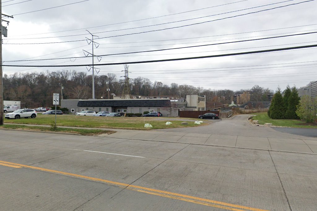 Save the Animals Foundation