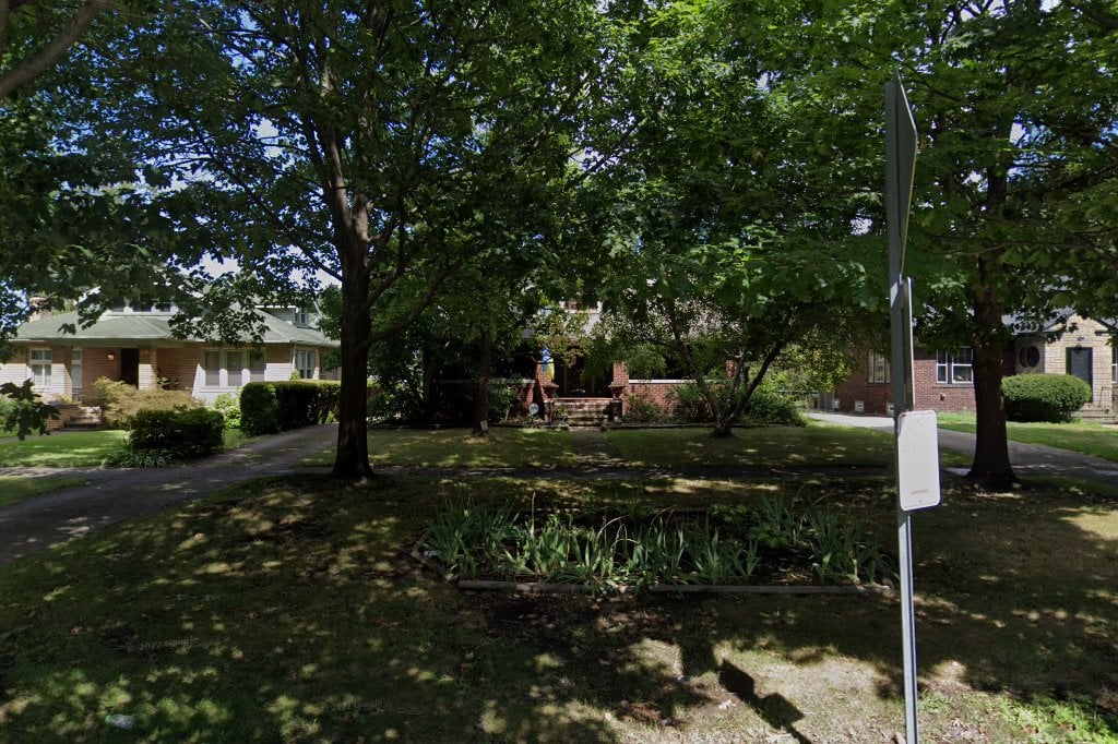 Greyhound Adoption of Ohio