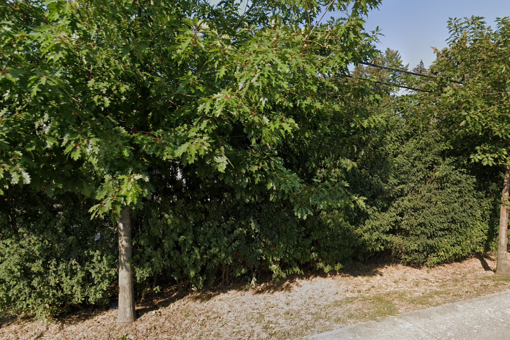 Animal Clinic & Hospital