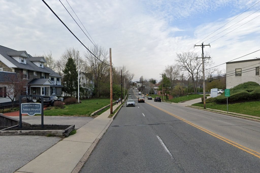 Chestnut Hill Veterinary Hospital