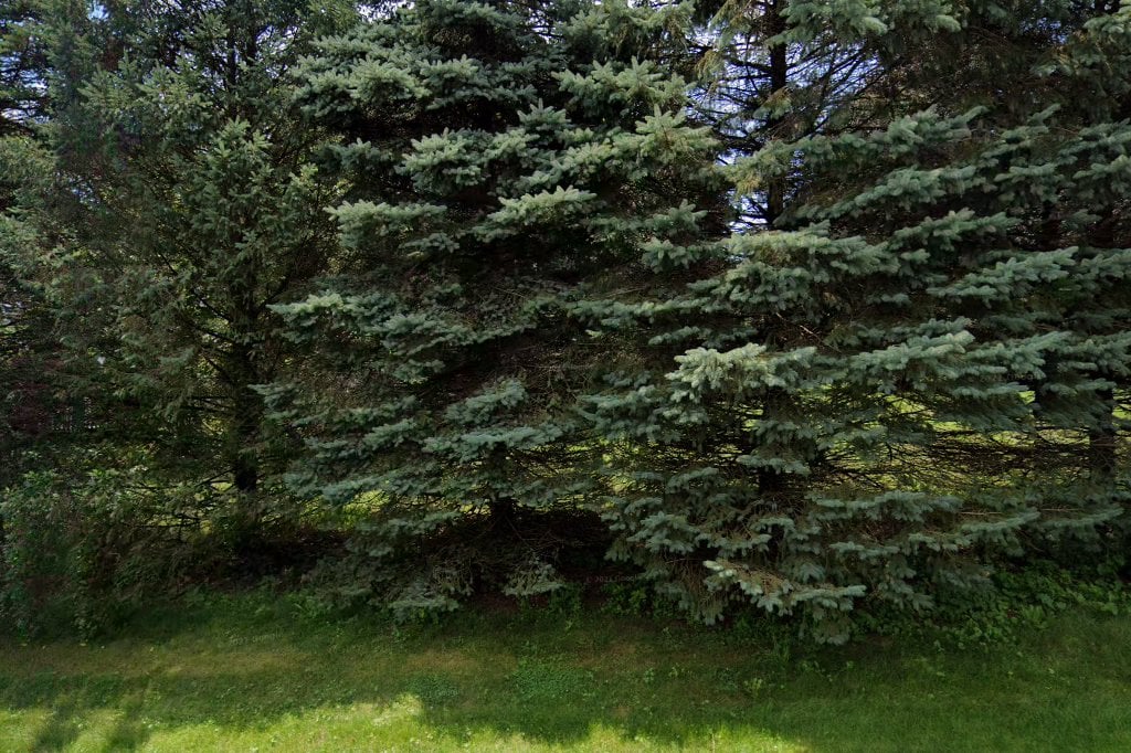 Deer Creek Animal Hospital