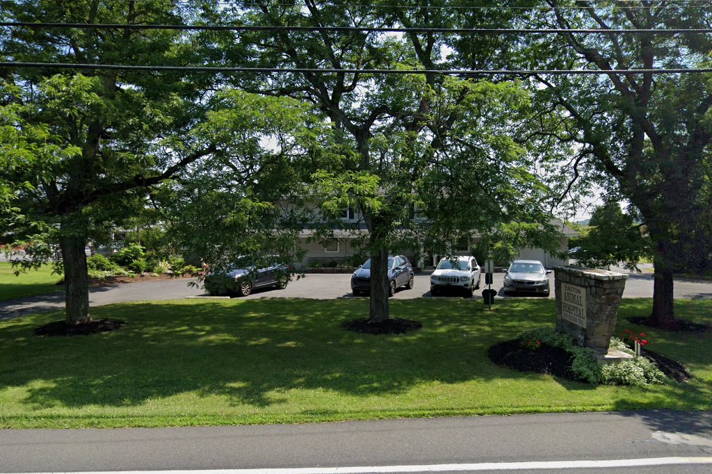Easton Animal Hospital