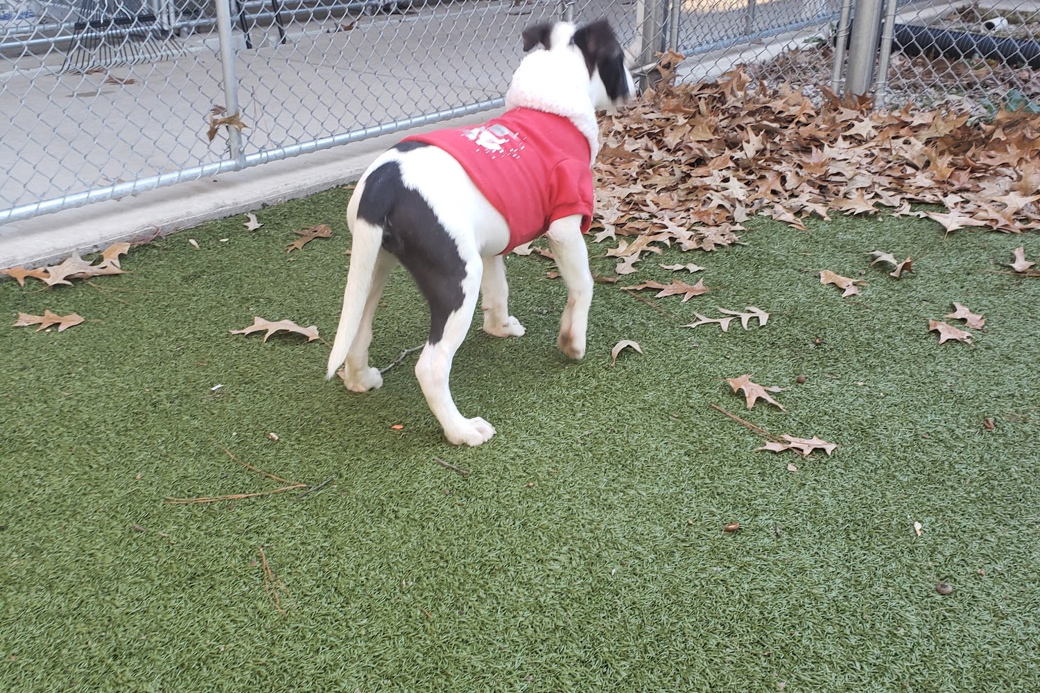 Germantown Animal Shelter