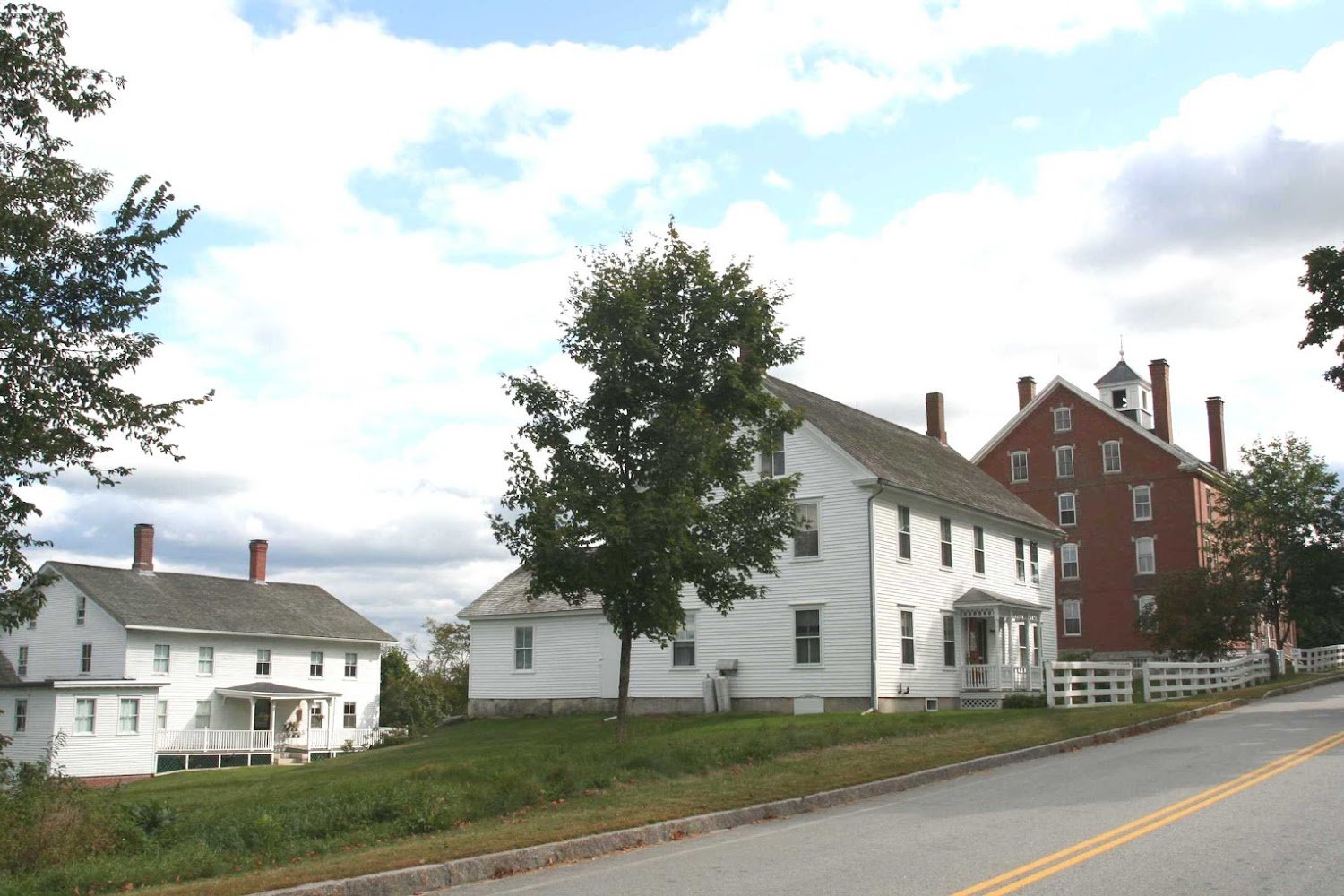 Loyal Heart Puppy Rescue