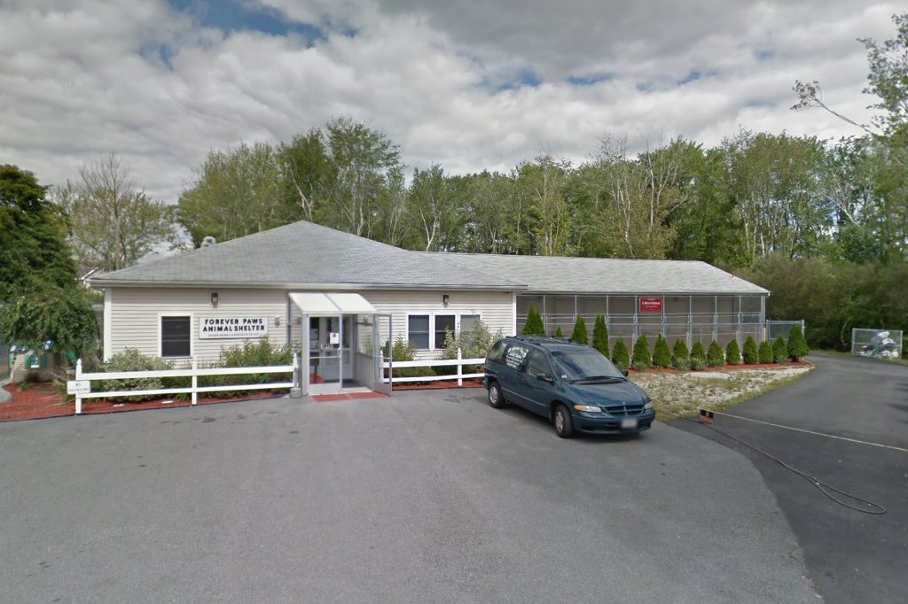 Forever Paws Animal Shelter