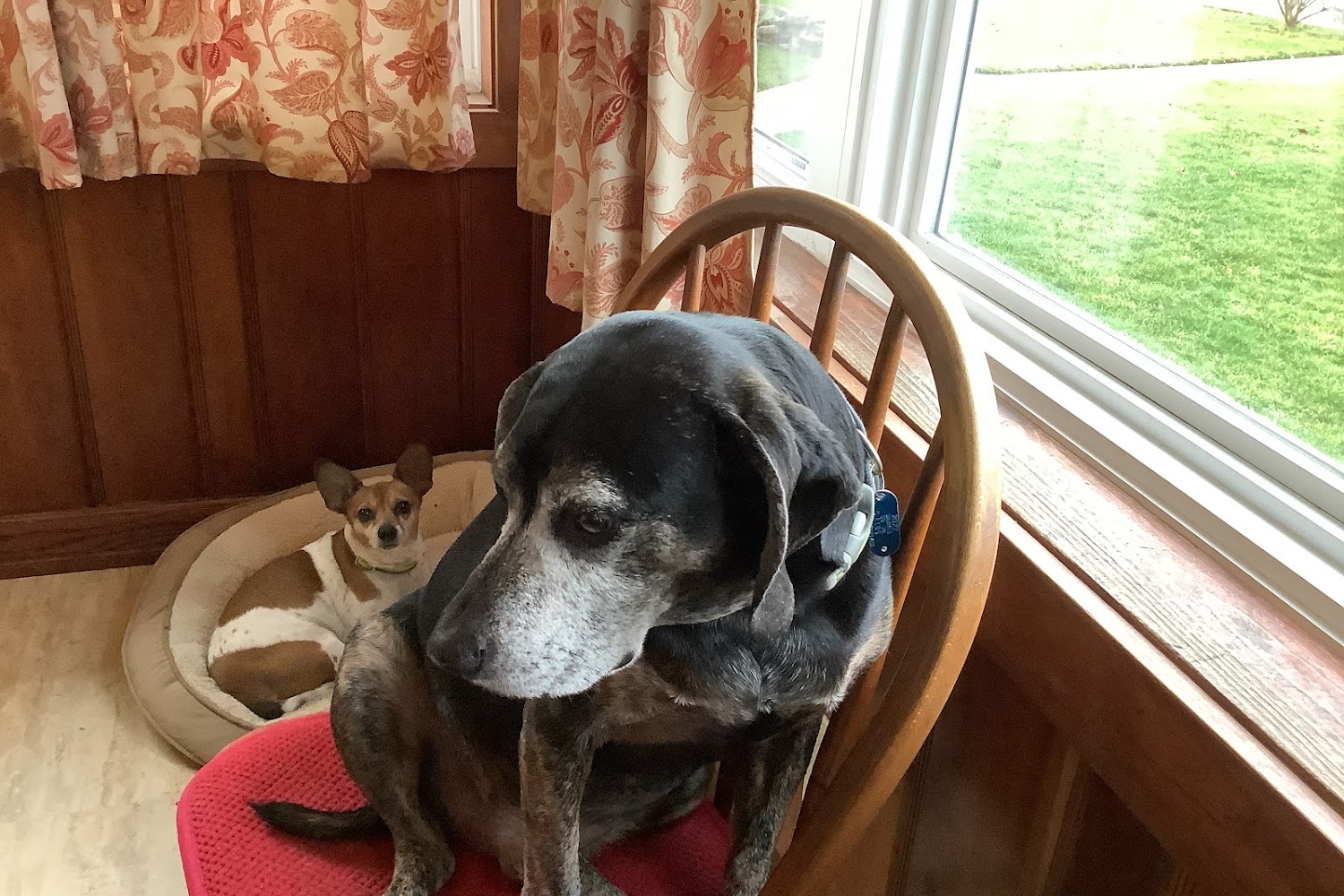 Warren County Humane Society