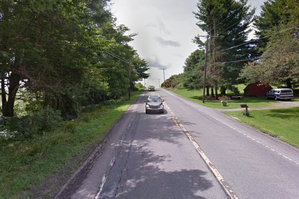 Punxsutawney Animal Control