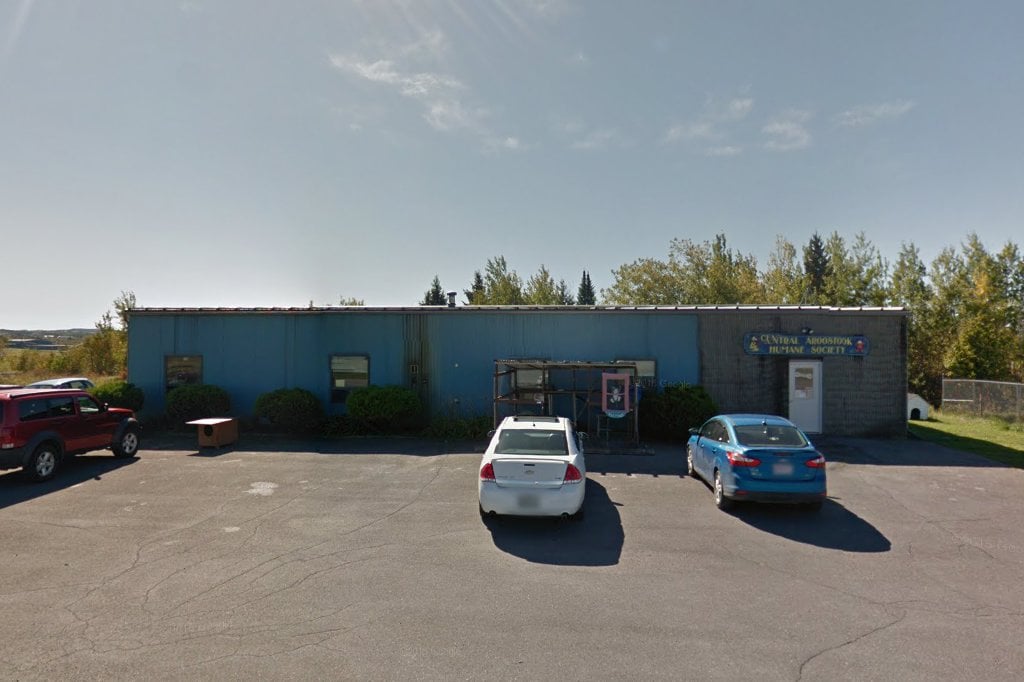 Presque Isle Animal Shelter