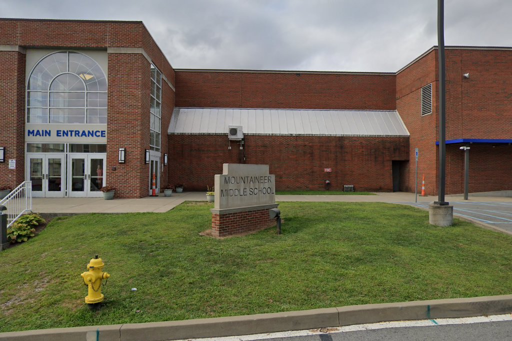 Boston Terrier Rescue