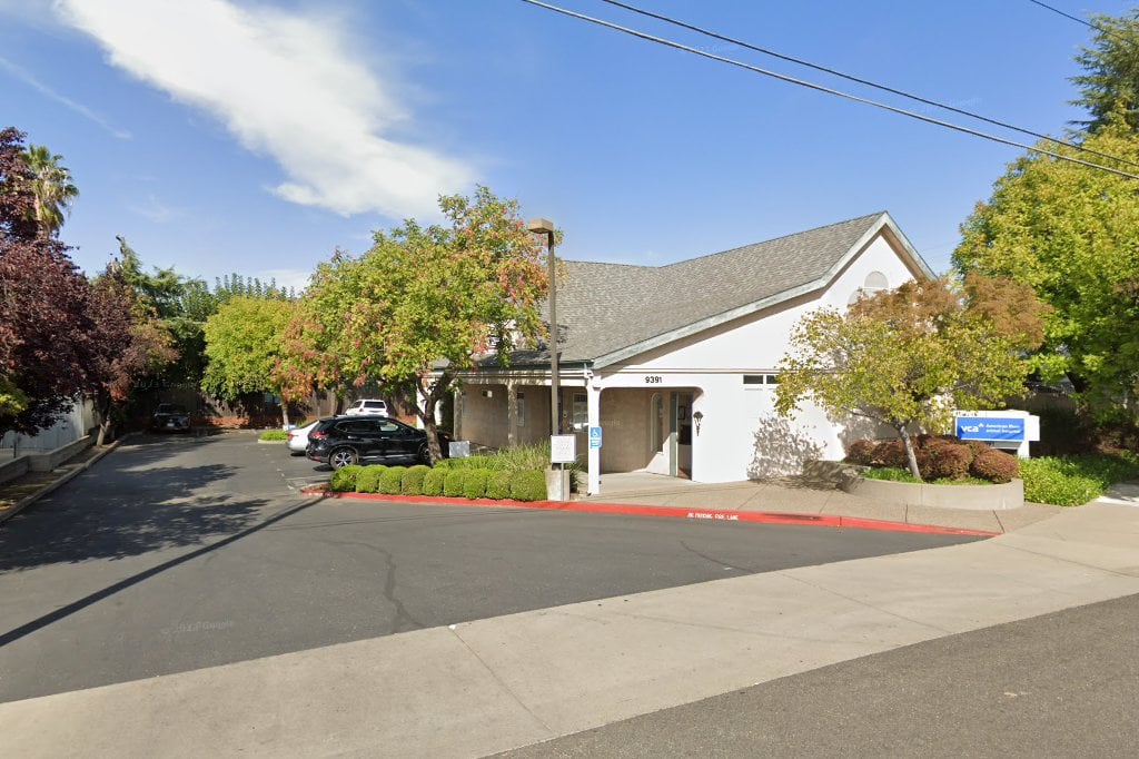 American River Animal Hospital