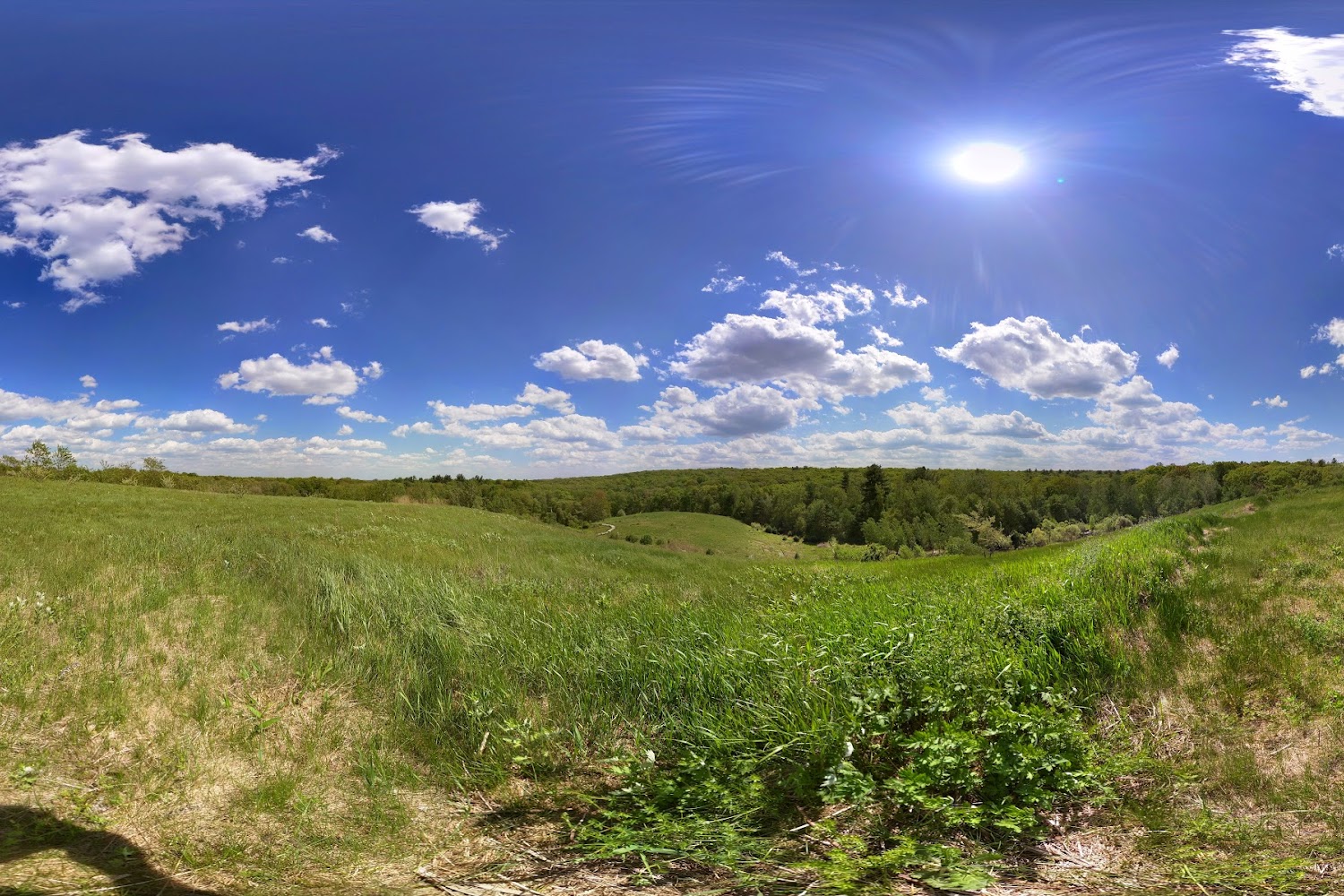 Blackstone Animal Shelter