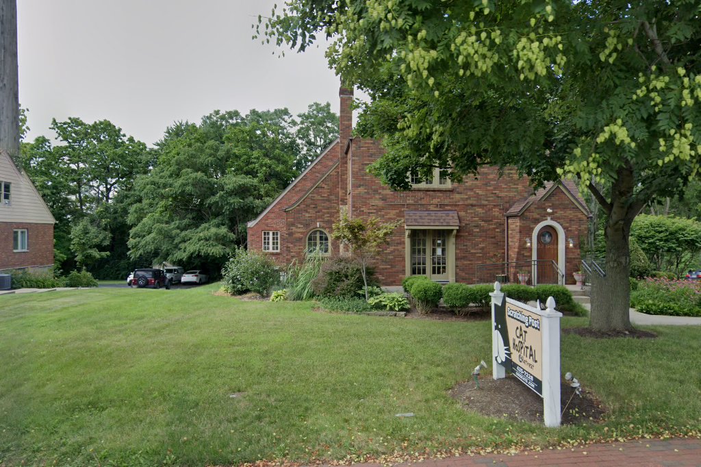 Scratching Post Cat Hospital
