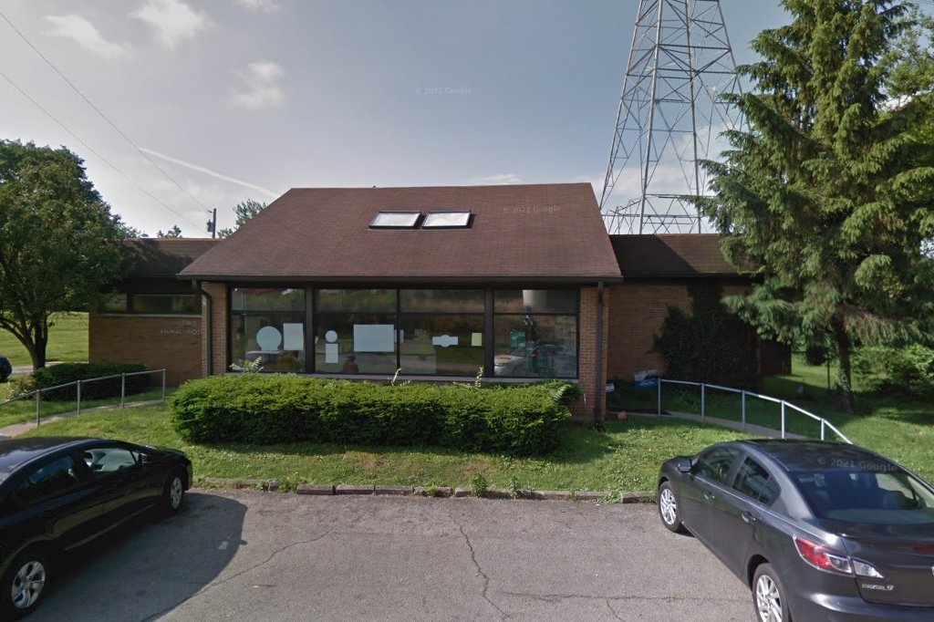 Lewis Animal Hospital