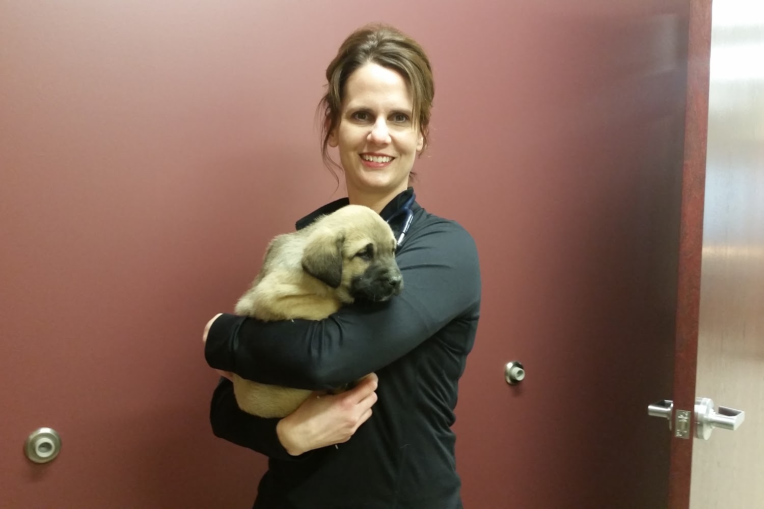 Mohawk Animal Hospital