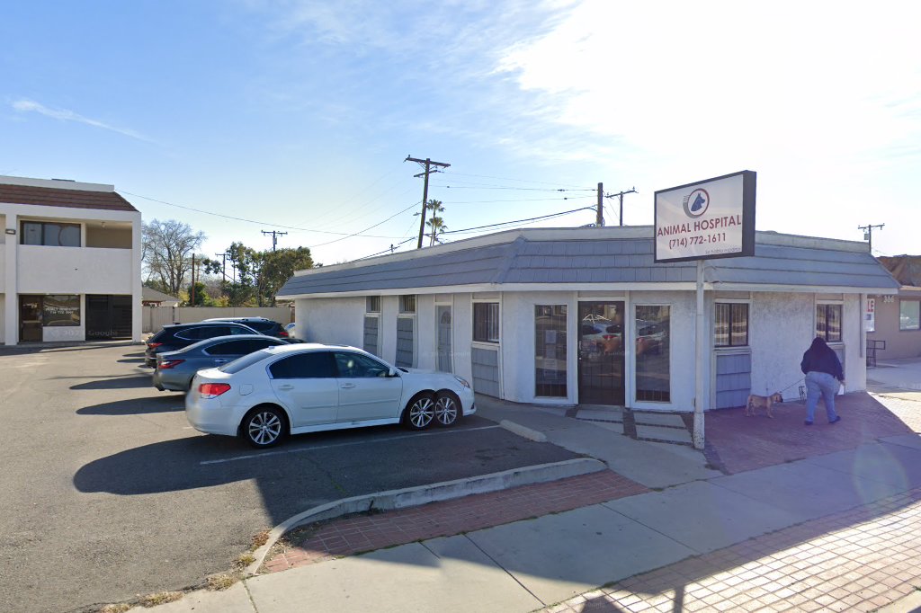 Affordable Animal Emergency Clinic